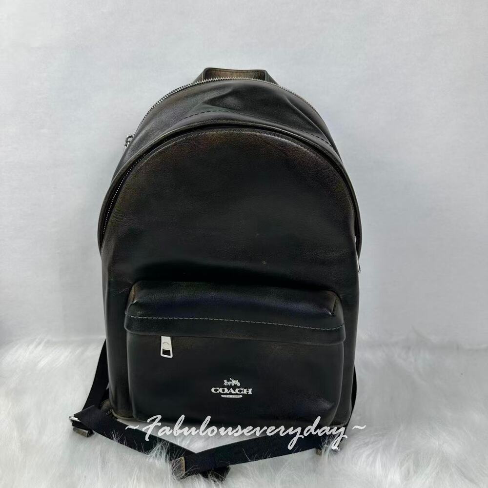 Coach Taylor Small Backpack In Loved Leather/Silver/Black Brown CES81 NWT